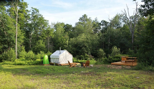 Tentrr Signature Site - Pine Grove