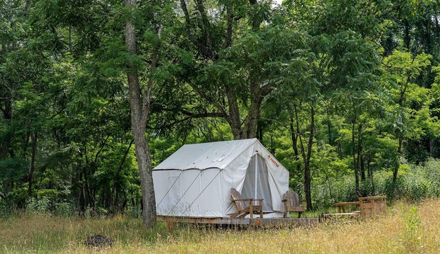 Tentrr State Park Site - WV Lost River State Park - Wooded Wilderness A - Single