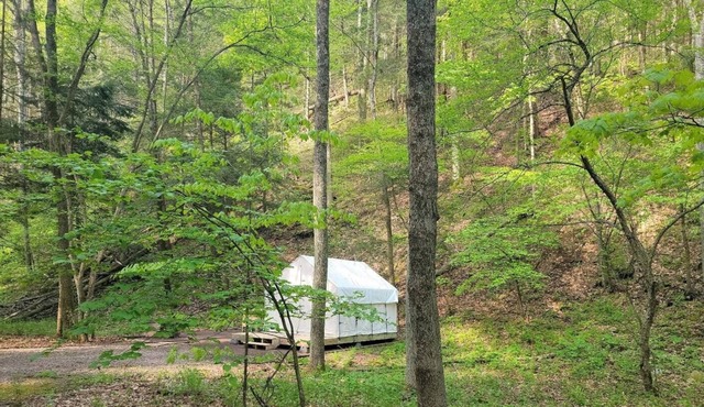 Tentrr State Park Site - Big Run State Park - Site B