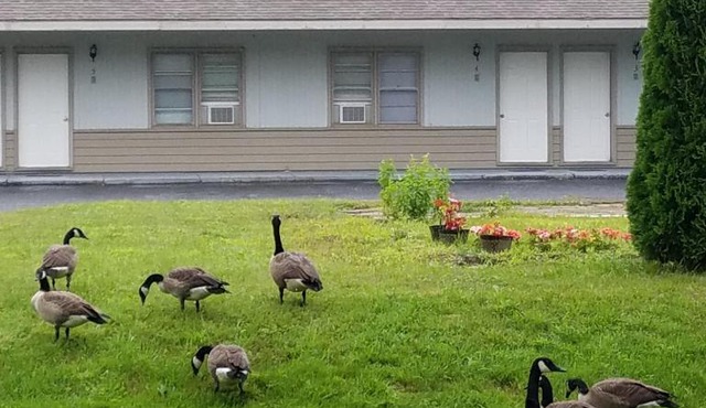 The becket Motel