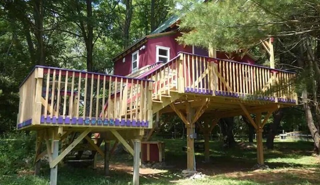 The Tree House at Underhill Hollow