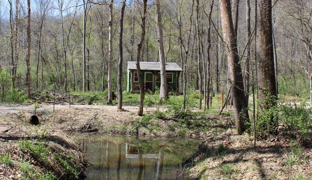 Tiny "Topiary" cabin in the forest