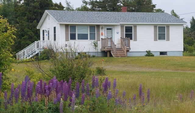 Treat yourself to Oceanside Bay views and stunning Downeast Maine!
