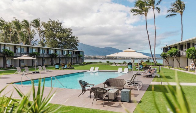 Tropical Dream! Seaside Property, Outdoor Pool, Steps to Ho’aloha Park Beach!