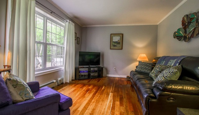 Two wonderful homes on the river with fast WiFi, furnished decks, grills & W/D