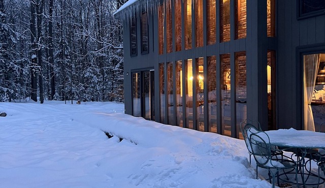 Unique Lodge for all seasons! Pet friendly! Up to 8 guests