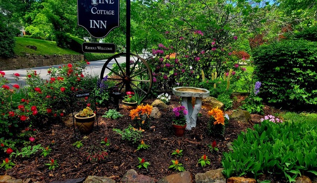 Vine Cottage Inn