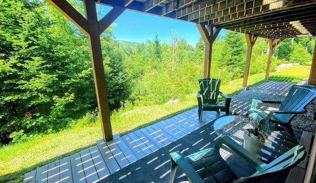 W1 Cozy and Comfortable Bretton Woods Condo with Ski Slope Views Fireplace in Carroll, NH