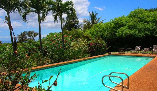 Wailea Custom Home, Pool, Panoramic Ocean View, Waterfalls - Maui Ocean Palms