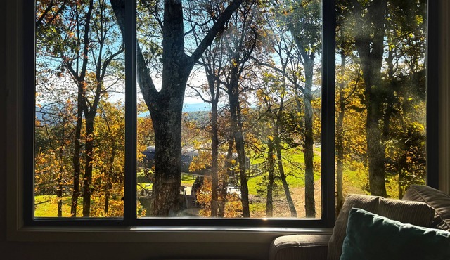 Walk to Summer Music Festival: WTG Retreat Among the Trees