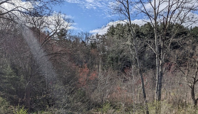 Walking Distance to Downtown Concord w/ Air Conditioning