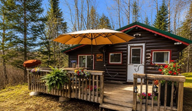 Waterfront Maine Cabin w/Deck, Fire Pit & Trails