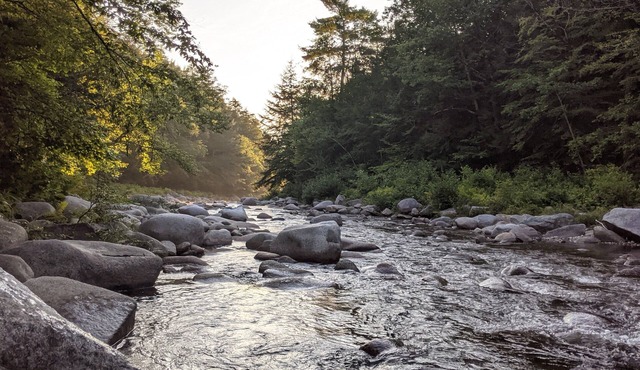 White Mountain scenic river camp with cozy cabin & comfy RV