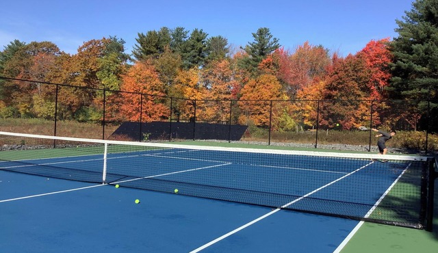Wild Blueberry Farmhouse: Your Fall Escape!