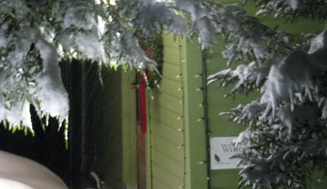 Willow Cottage - A Great Getaway for a Group or Family