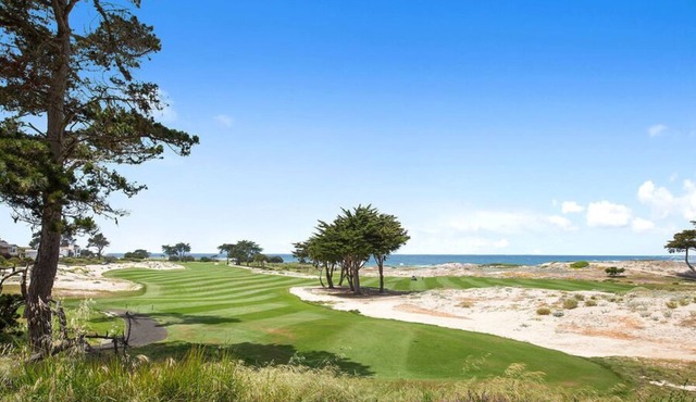 Willow Tree - Pebble Beach House - Golf, golf, golf, from Spyglass to Spanish Bay!
