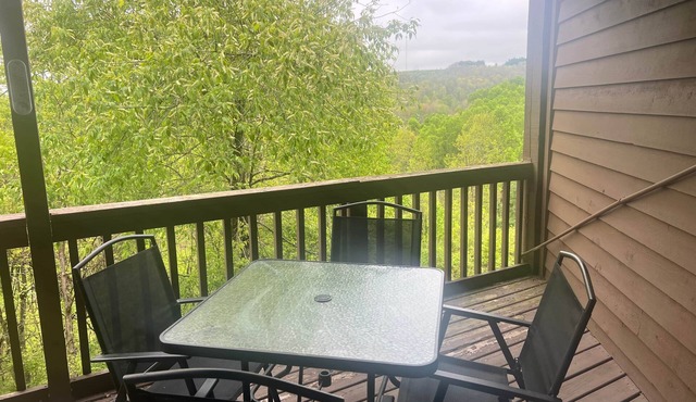 Winterplace Condo E202