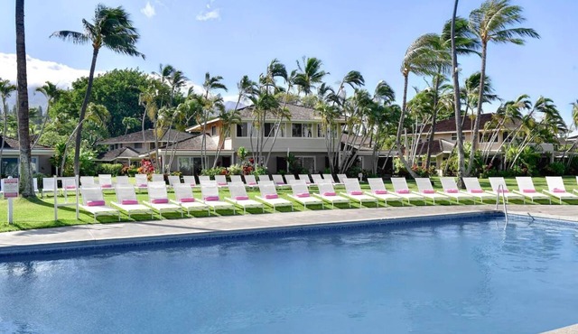 Wonderful Trip to the Beach! Beachfront Location, With Outdoor Swimming Pool!