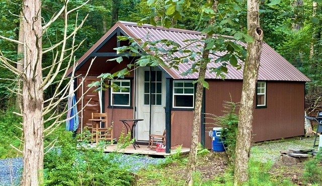 Woods Cabin-Kingston/Woodstock, NY.