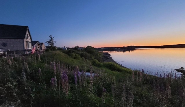World's highest tides! Pet-friendly, bayfront cottage with a large fenced yard.