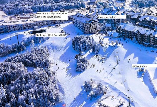 Stroll to Slopes Village Area Ski in-out Unit 351