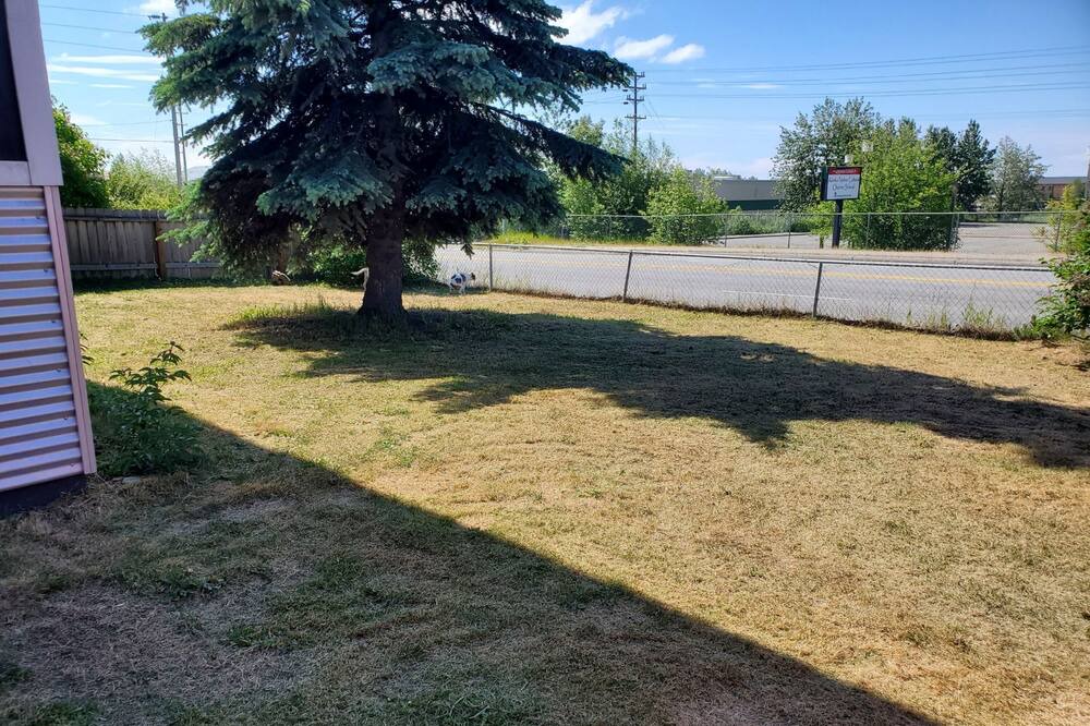 Photo of Outdoor in Russian Jack Park