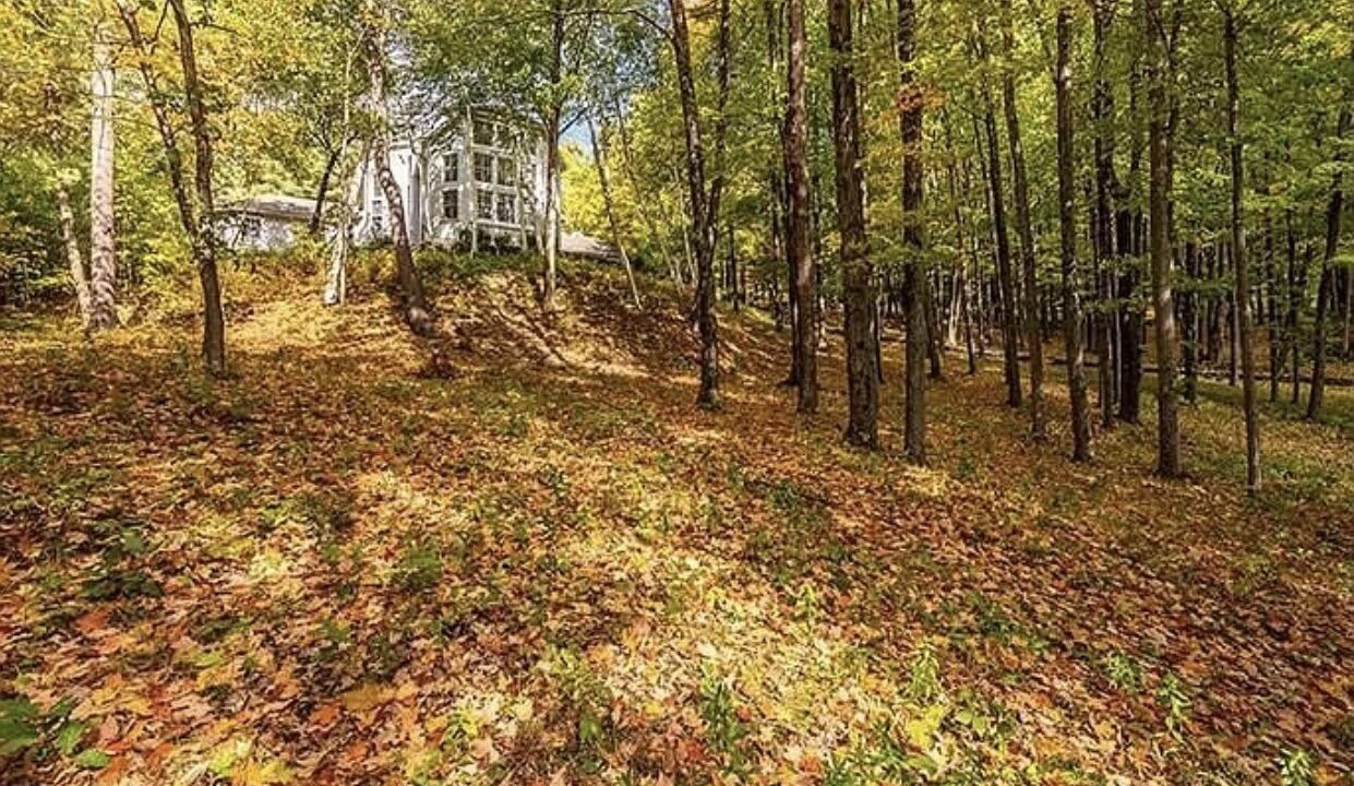 Photo of Outdoor in Hillsdale