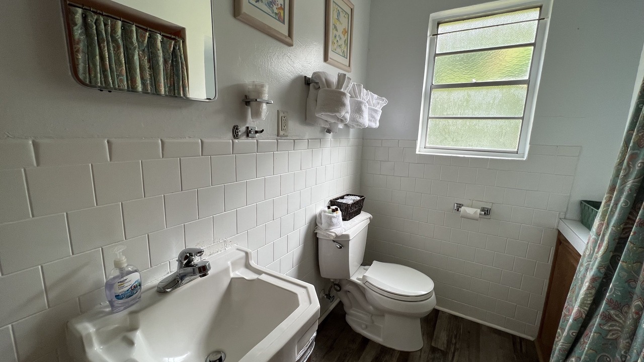 Photo of Bathroom in Mount Ida