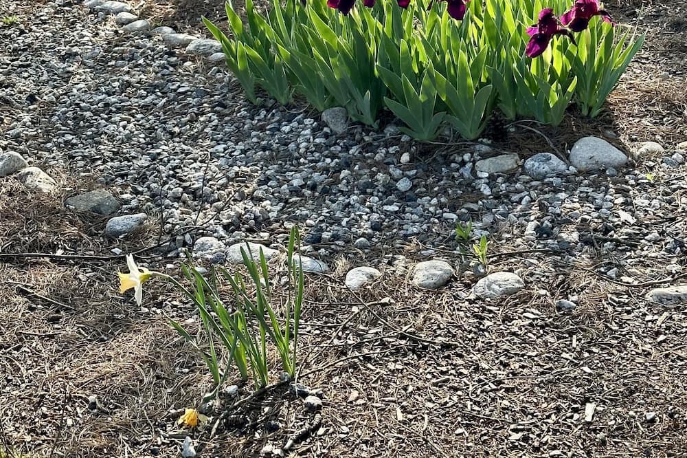 Photo of Outdoor in Gray