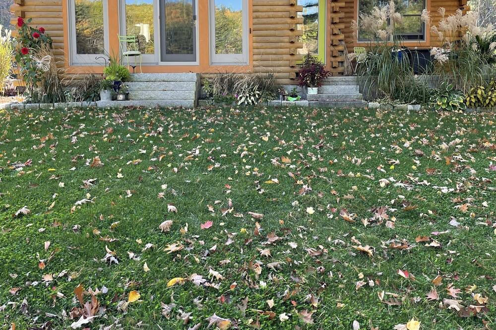 Photo of Outdoor in Lyman
