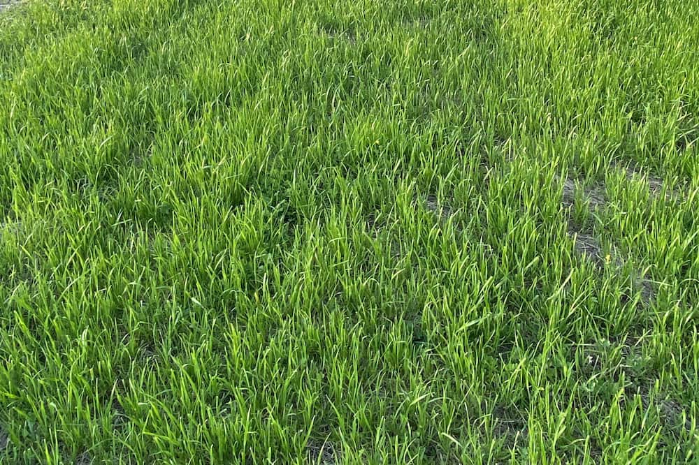 Photo of Outdoor in Pine Ridge