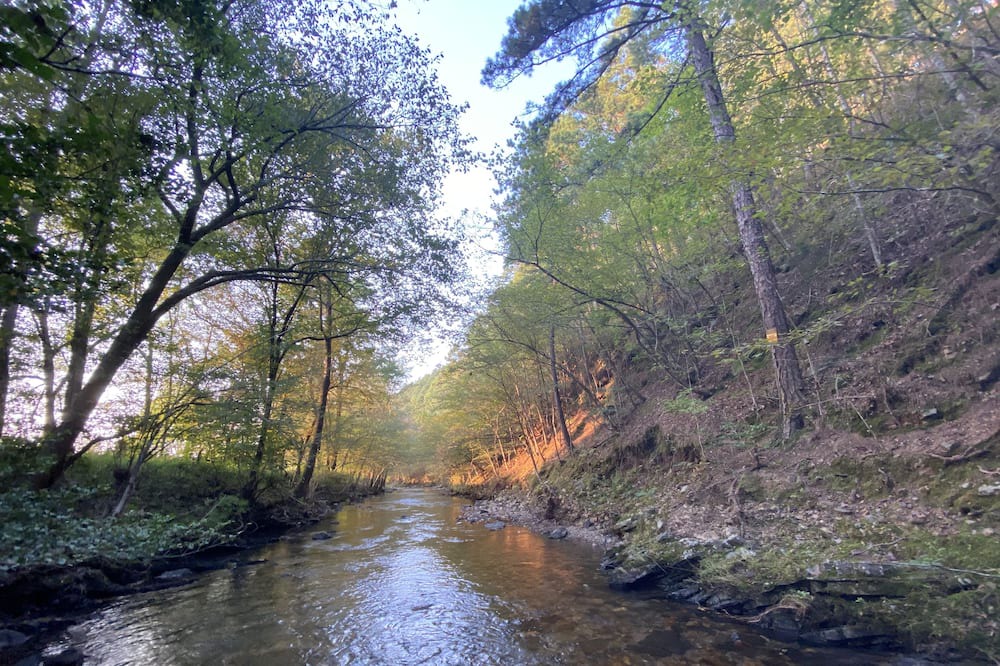 Photo of Outdoor in Pine Ridge