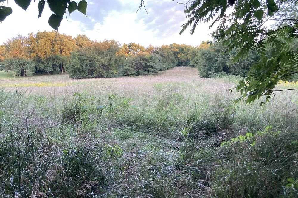 Photo of Outdoor in Lee's Summit