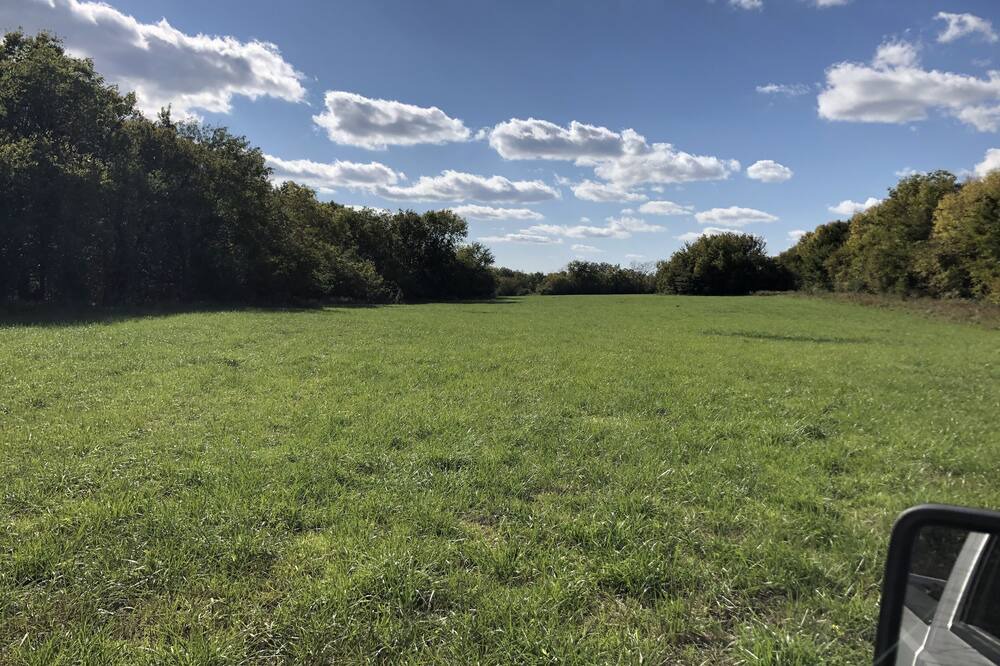 Photo of Outdoor in Lee's Summit
