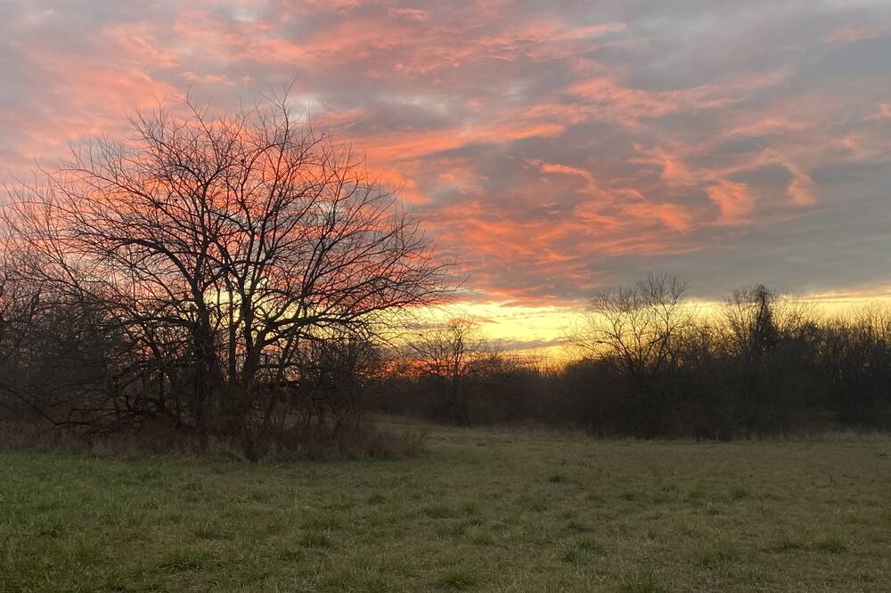 Photo of Outdoor in Lee's Summit