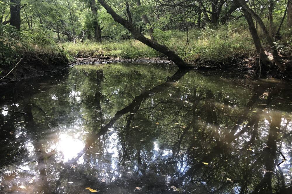 Photo of Outdoor in Lee's Summit