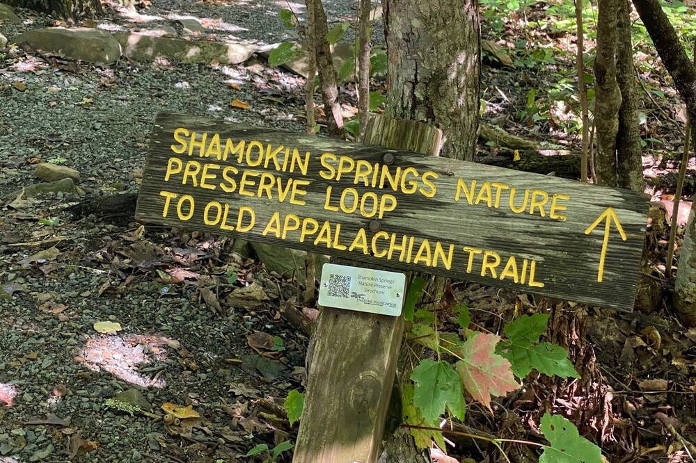 Photo of Outdoor in Chestnut Springs
