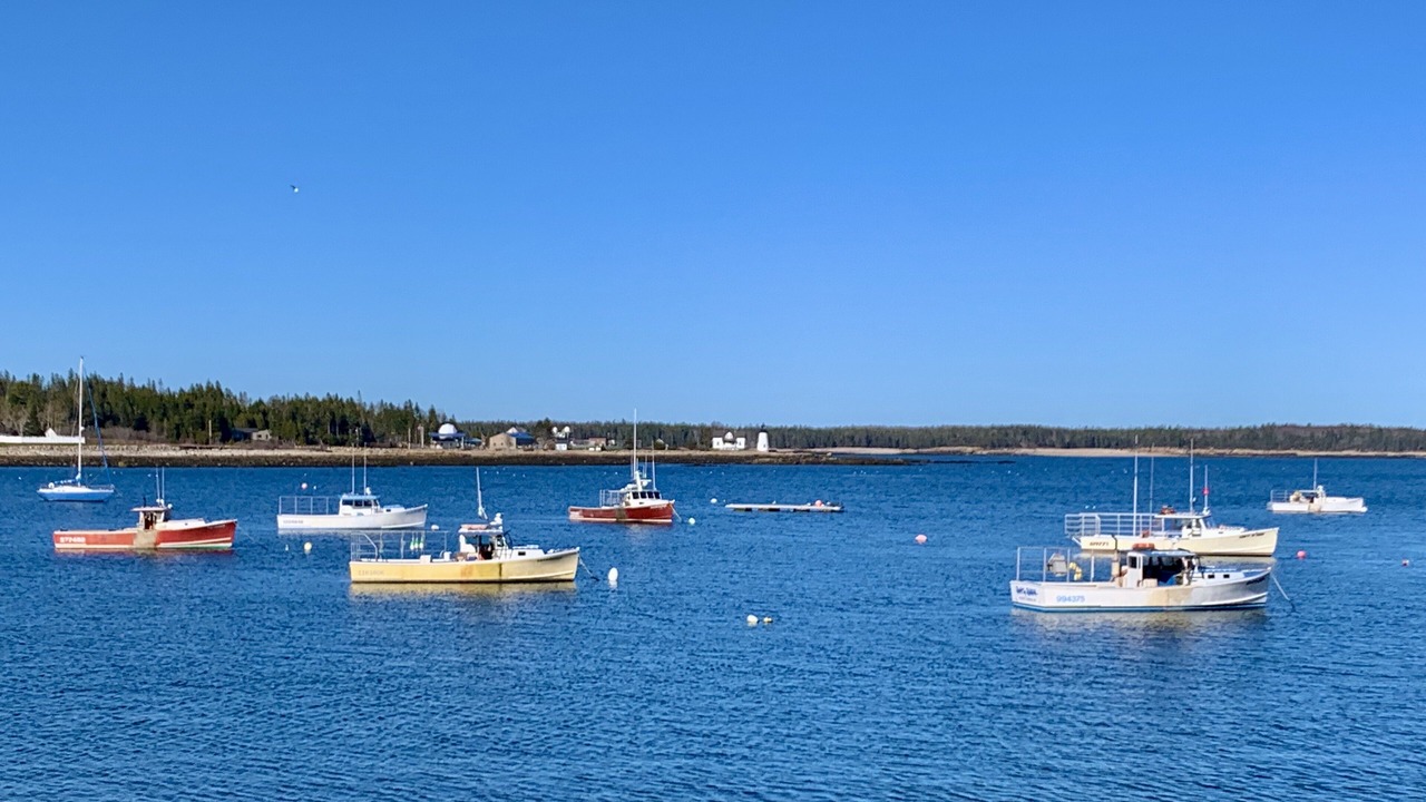 Photo of Outdoor in Prospect Harbor