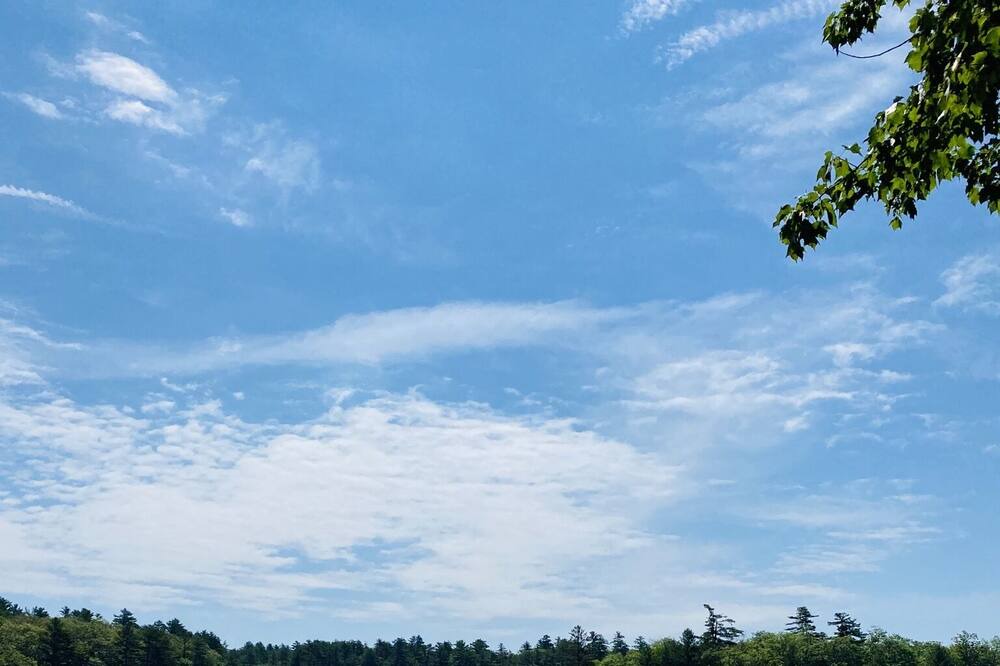 Photo of Outdoor in Litchfield