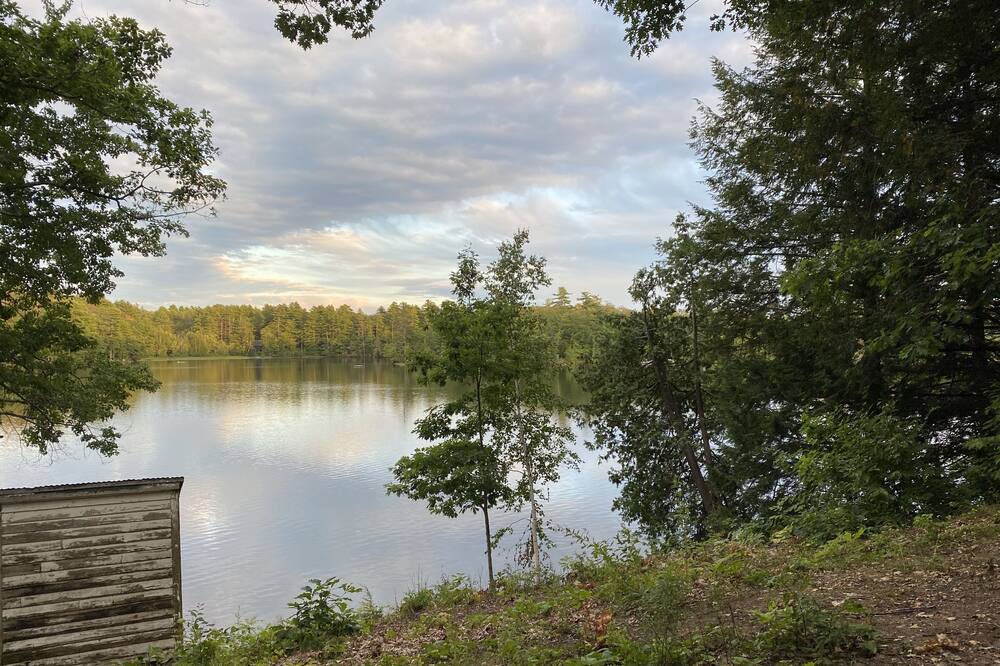 Photo of Others in Litchfield