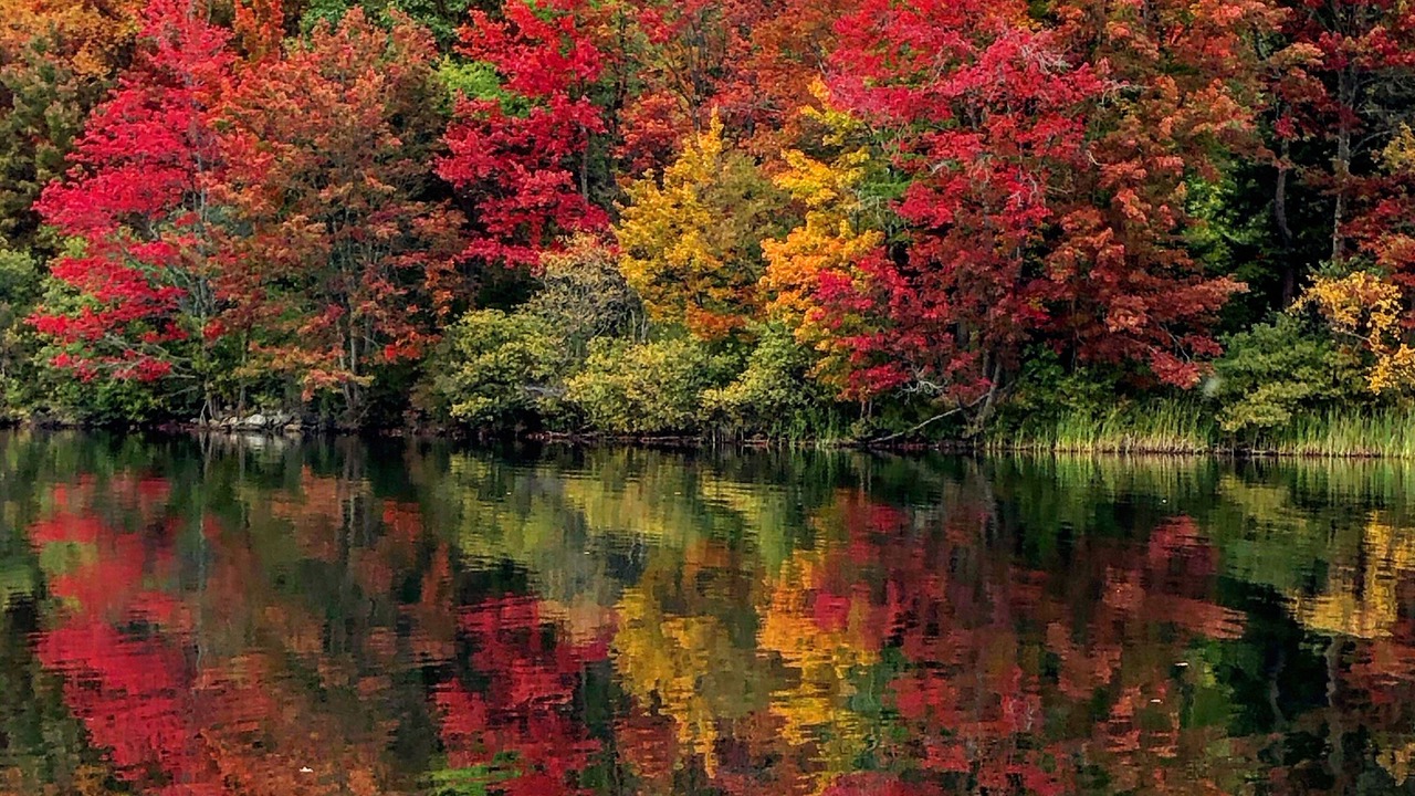 Photo of Outdoor in Hinsdale