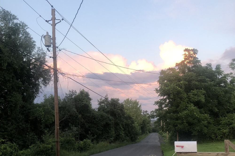 Photo of Others in East Kingston