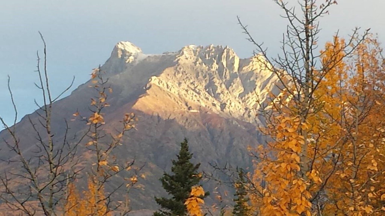 Photo of Outdoor in McCarthy