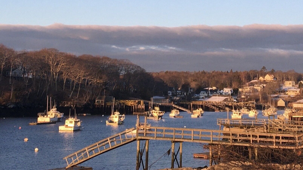 Photo of Others in New Harbor