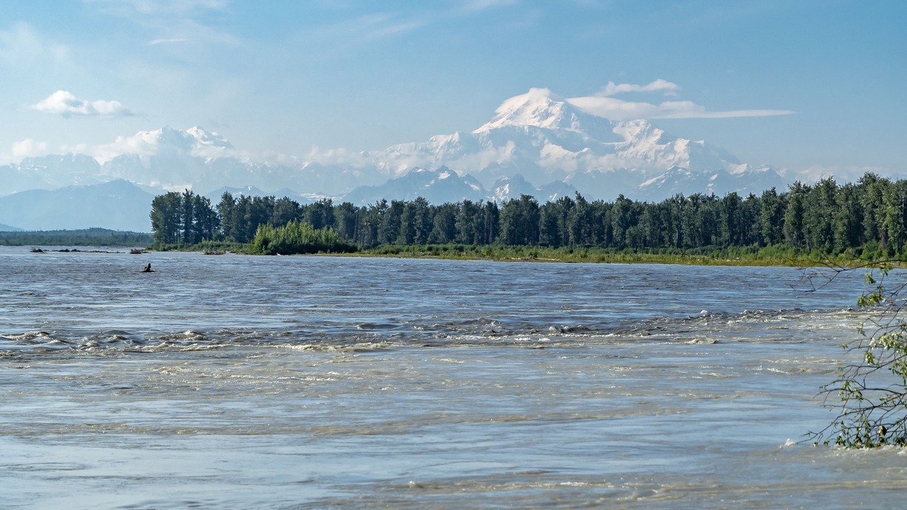 Photo of Others in Talkeetna