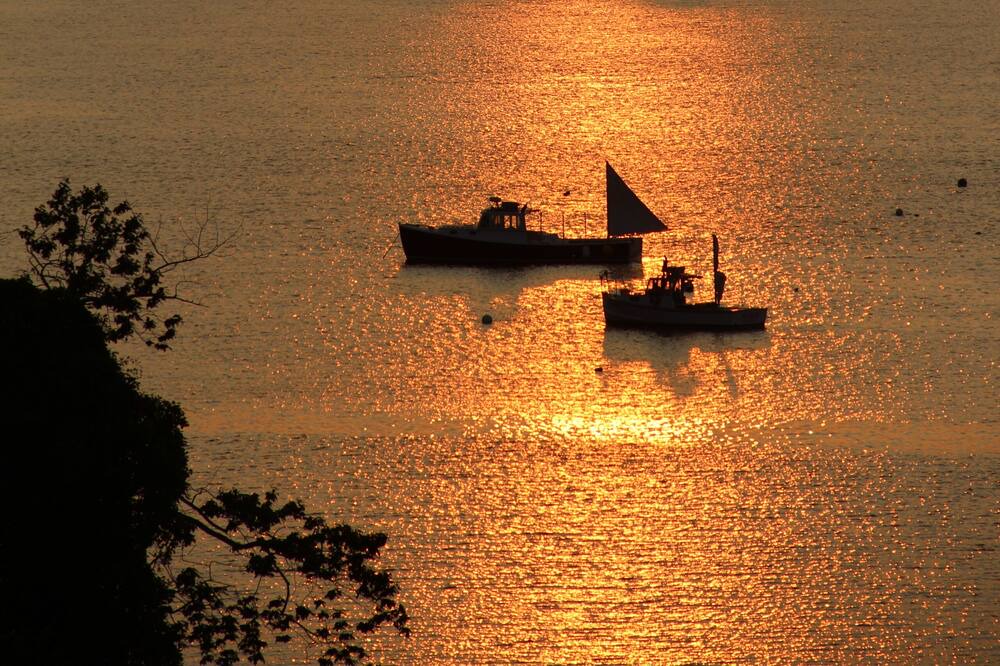 Photo of Others in Chebeague Island