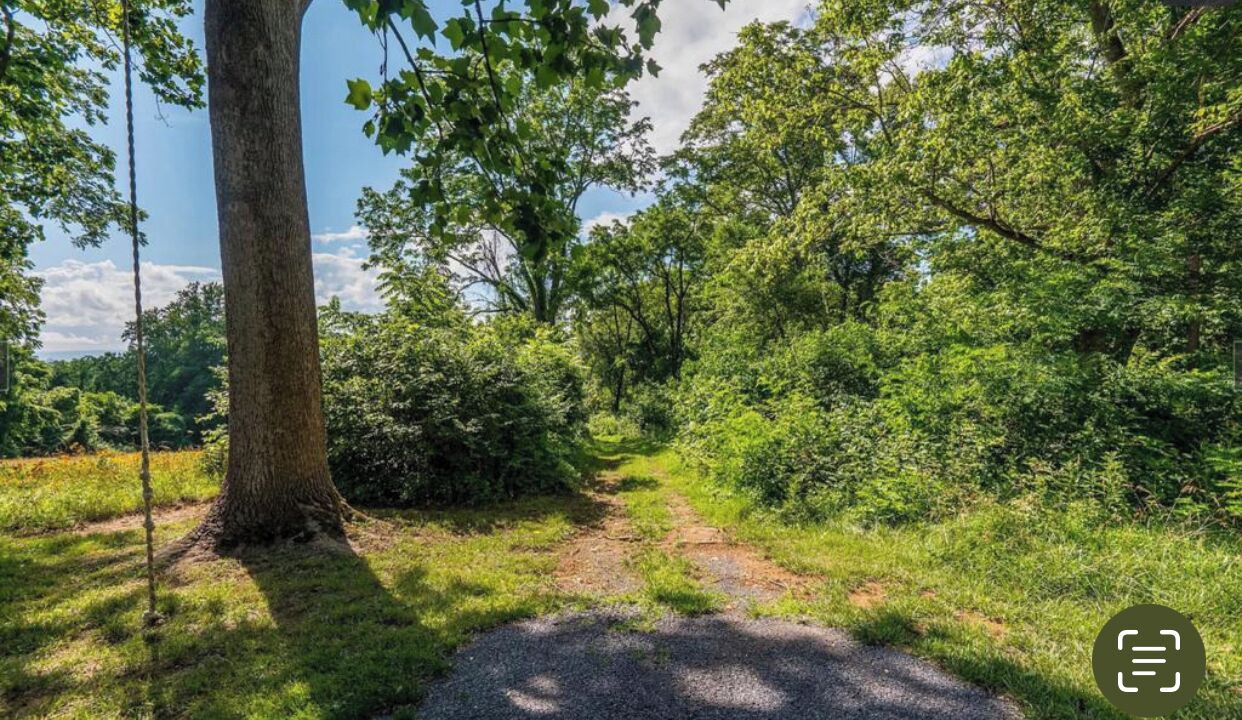 Photo of Outdoor in Leesburg