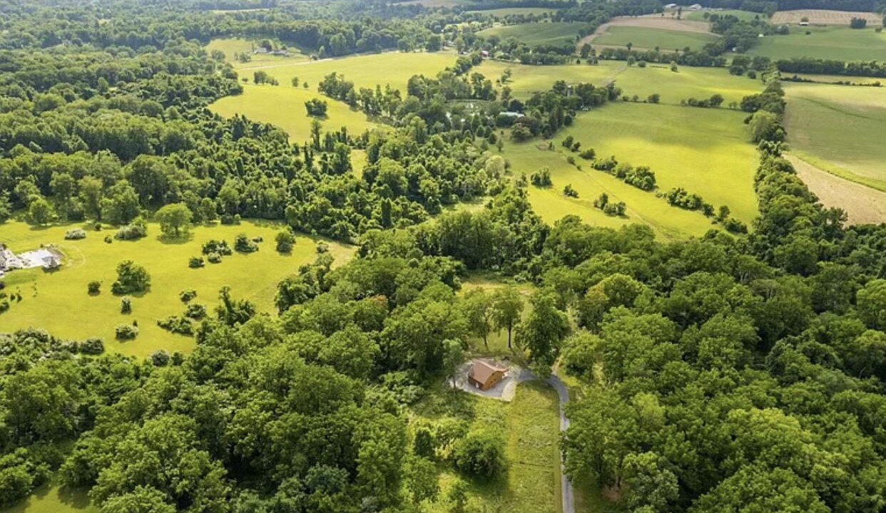 Photo of Outdoor in Leesburg