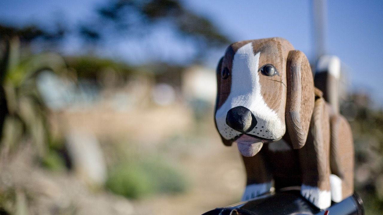 Photo of Others in San Simeon