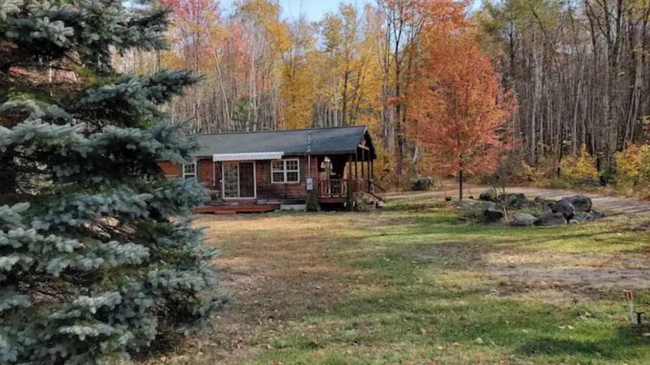 Photo of Outdoor in Lyman
